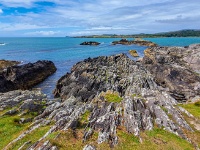 Co. Cork